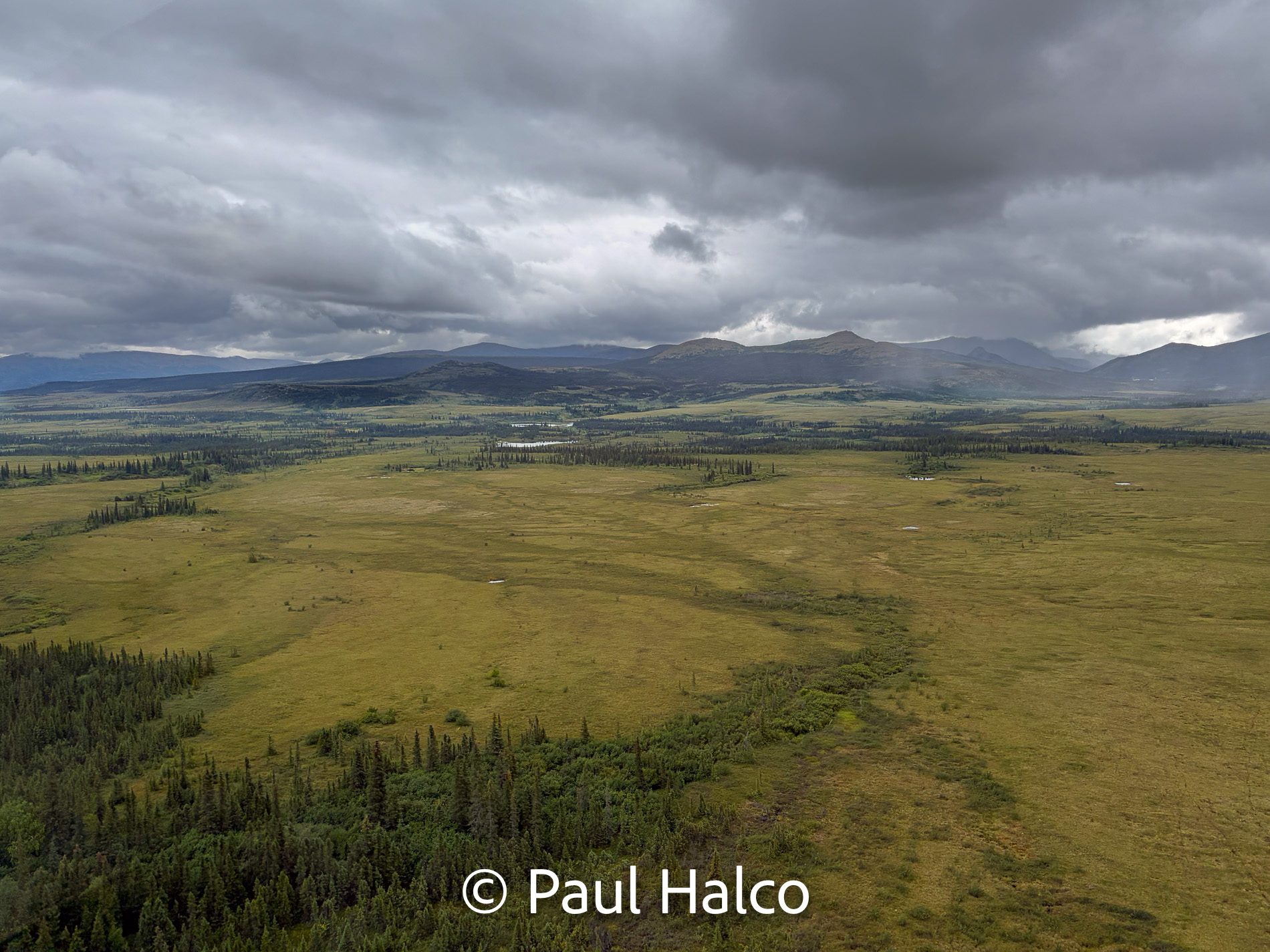 Paul Halco - Gates of the Arctic NP-11
